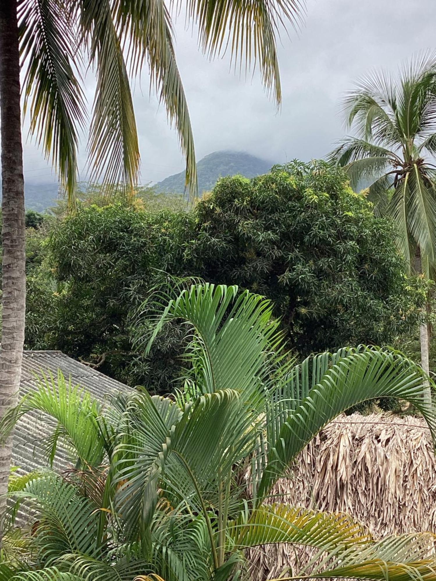 Hostal Antawara Tayrona El Zaino Exterior foto
